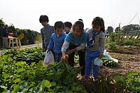 20131221荔枝世界