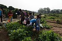 DSC08339