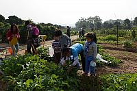 DSC08340