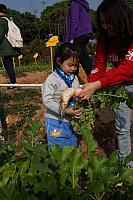 DSC08400
