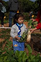 DSC08406
