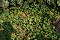 DSC08608