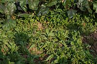 DSC08609