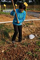DSC08697