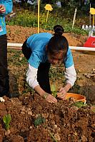 DSC08866