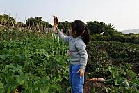 DSC08935