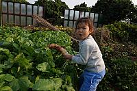 DSC08941
