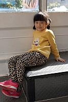 DSC00086