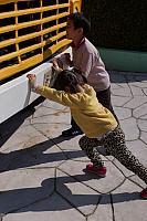 DSC00094