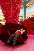 DSC00323