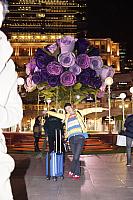 DSC00430