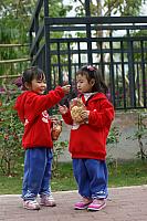 DSC05529