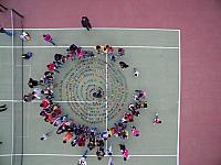 DJI 0490